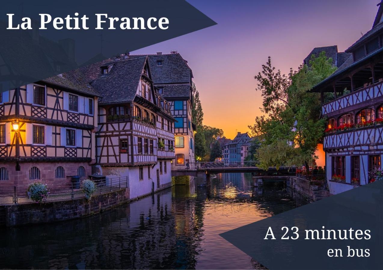 Le Reve Bleu - Golden Tree - Wifi - 15Min Centre Ville De Strasbourg シルティグアイム エクステリア 写真